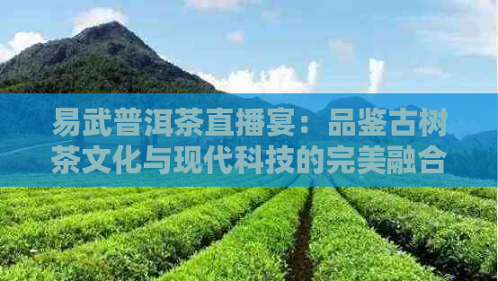 易武普洱茶直播宴：品鉴古树茶文化与现代科技的完美融合