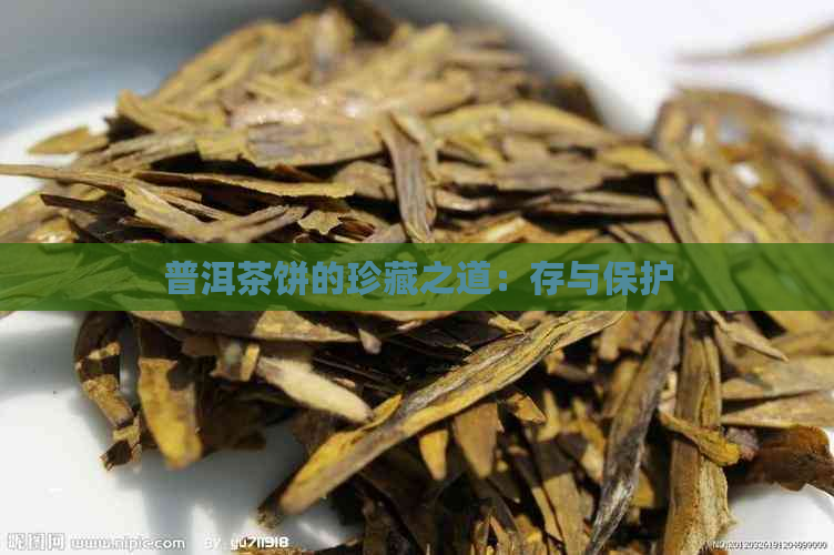 普洱茶饼的珍藏之道：存与保护