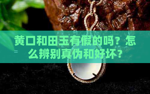 黄口和田玉有假的吗？怎么辨别真伪和好坏？