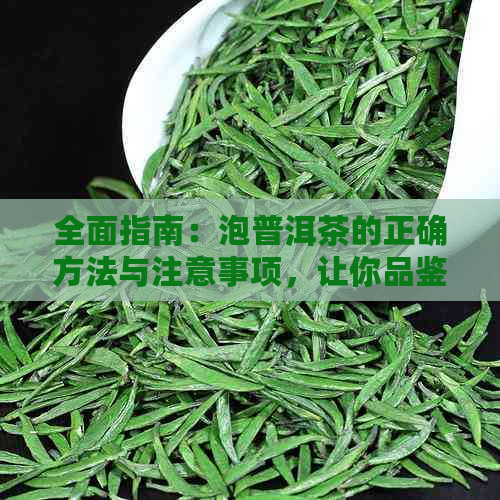 全面指南：泡普洱茶的正确方法与注意事项，让你品鉴更完美的茶香