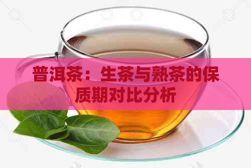 普洱茶：生茶与熟茶的保质期对比分析