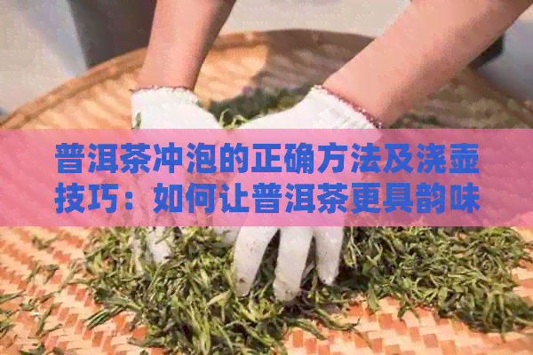 普洱茶冲泡的正确方法及浇壶技巧：如何让普洱茶更具韵味？