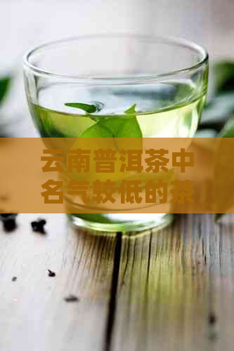 云南普洱茶中名气较低的茶叶种类及原因解析