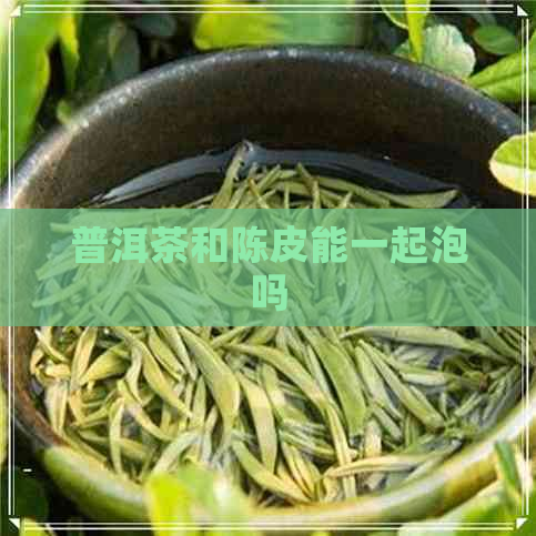 普洱茶和陈皮能一起泡吗