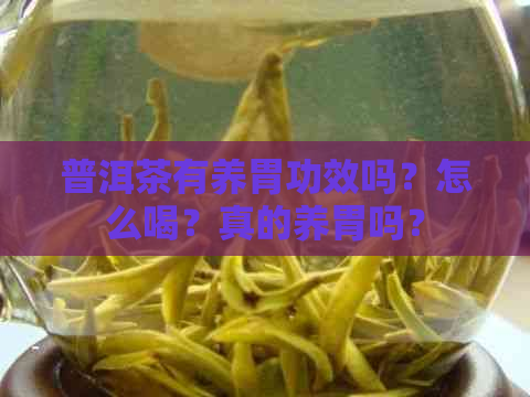 普洱茶有养胃功效吗？怎么喝？真的养胃吗？