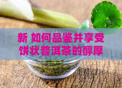 新 如何品鉴并享受饼状普洱茶的醇厚口感？