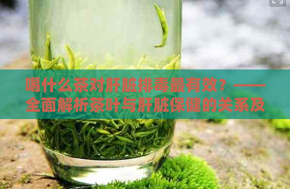 喝什么茶对肝脏排最有效？——全面解析茶叶与肝脏保健的关系及推荐茶品