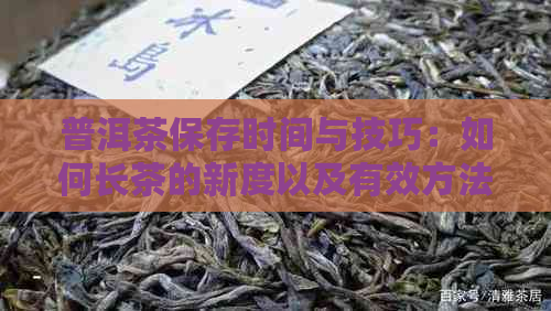 普洱茶保存时间与技巧：如何长茶的新度以及有效方法