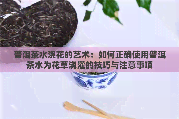 普洱茶水浇花的艺术：如何正确使用普洱茶水为花草浇灌的技巧与注意事项