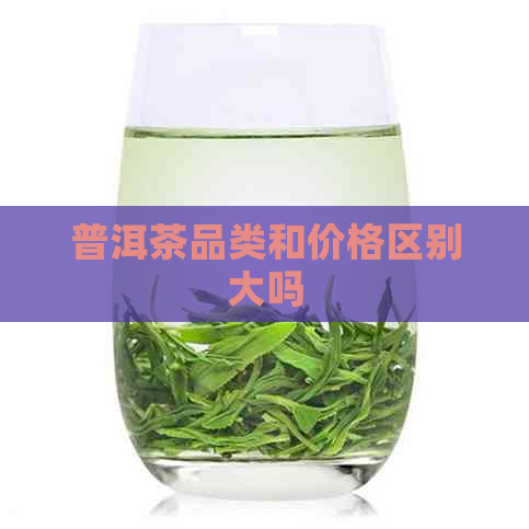 普洱茶品类和价格区别大吗