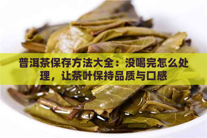 普洱茶保存方法大全：没喝完怎么处理，让茶叶保持品质与口感