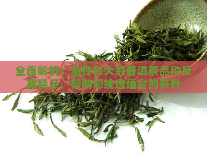 全面解析：油性较大的普洱茶品种及其特点，帮助您挑选适合的茶叶