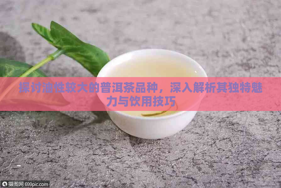 探讨油性较大的普洱茶品种，深入解析其独特魅力与饮用技巧