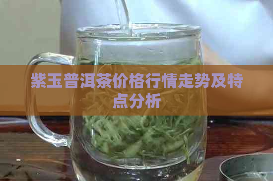 紫玉普洱茶价格行情走势及特点分析