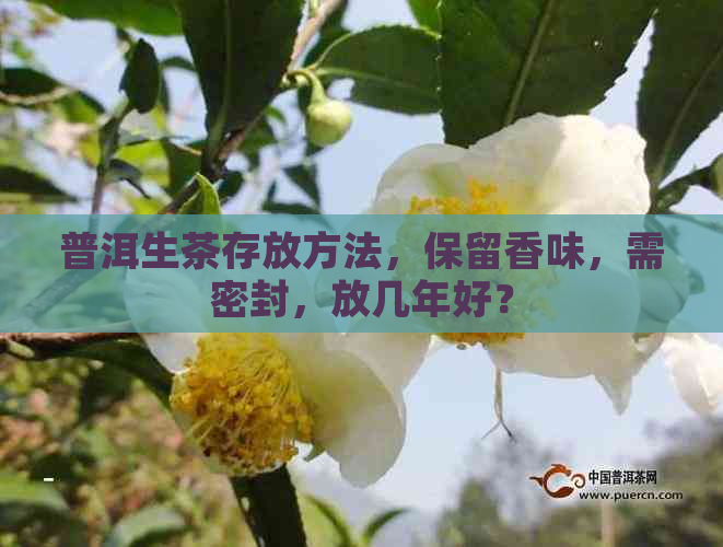 普洱生茶存放方法，保留香味，需密封，放几年好？