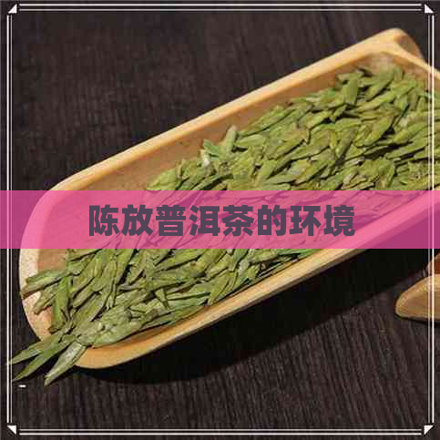 陈放普洱茶的环境