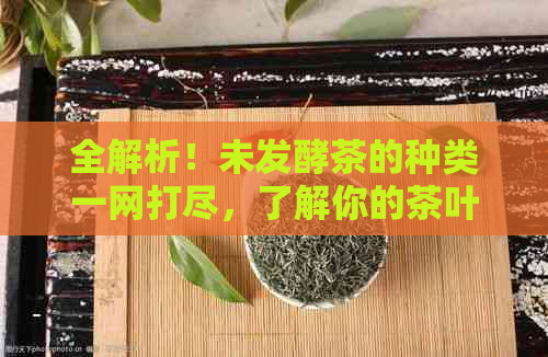 全解析！未发酵茶的种类一网打尽，了解你的茶叶类型