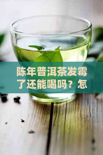 陈年普洱茶发霉了还能喝吗？怎么辨别和处理？