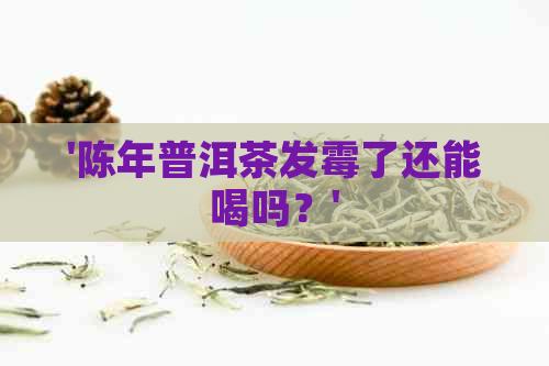 '陈年普洱茶发霉了还能喝吗？'