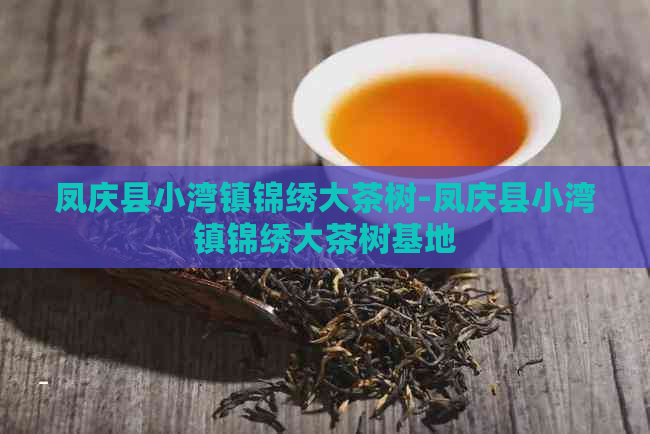 凤庆县小湾镇锦绣大茶树-凤庆县小湾镇锦绣大茶树基地