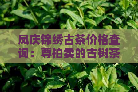 凤庆锦绣古茶价格查询：尊拍卖的古树茶与锦绣茶价格表