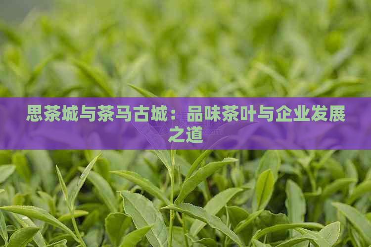 思茶城与茶马古城：品味茶叶与企业发展之道