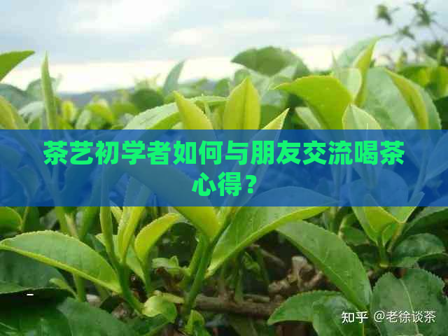 茶艺初学者如何与朋友交流喝茶心得？