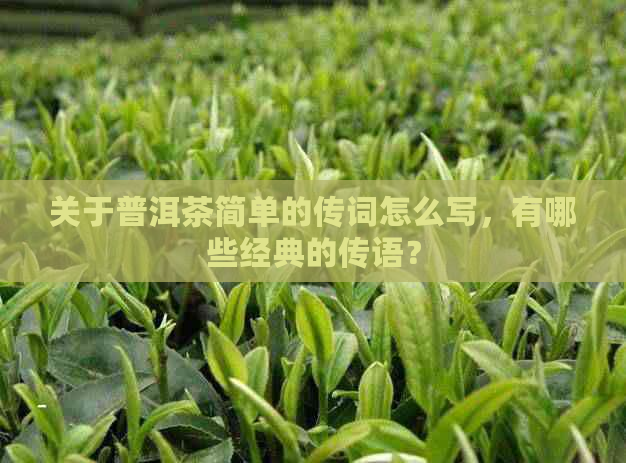 关于普洱茶简单的传词怎么写，有哪些经典的传语？