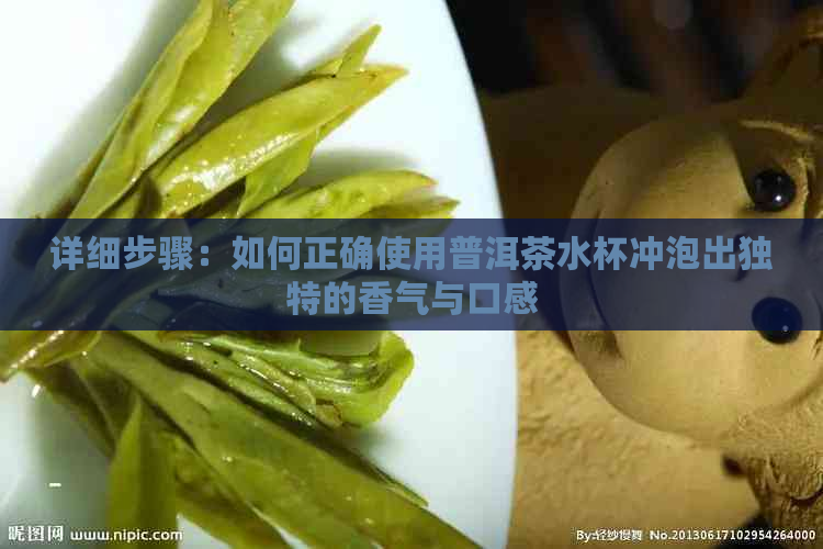 详细步骤：如何正确使用普洱茶水杯冲泡出独特的香气与口感