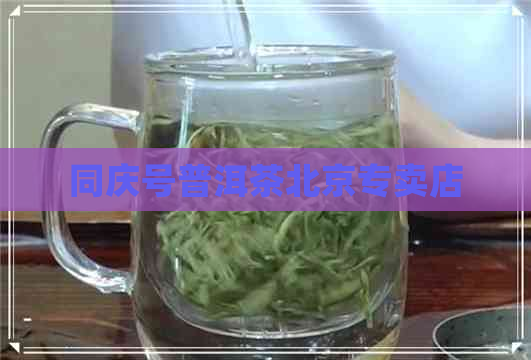 同庆号普洱茶北京专卖店