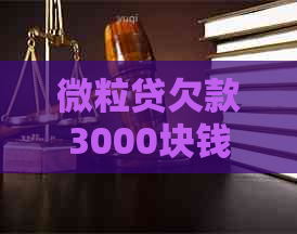 微立贷欠款3000块钱会被起诉吗怎么办理