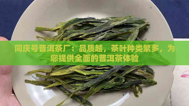 同庆号普洱茶厂：品质越，茶叶种类繁多，为您提供全面的普洱茶体验