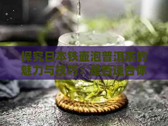 探究铁壶泡普洱茶的魅力与技巧：是否适合你？