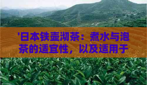 '铁壶沏茶：煮水与泡茶的适宜性，以及适用于何种茶叶'