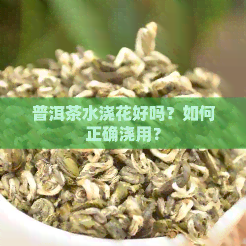 普洱茶水浇花好吗？如何正确浇用？