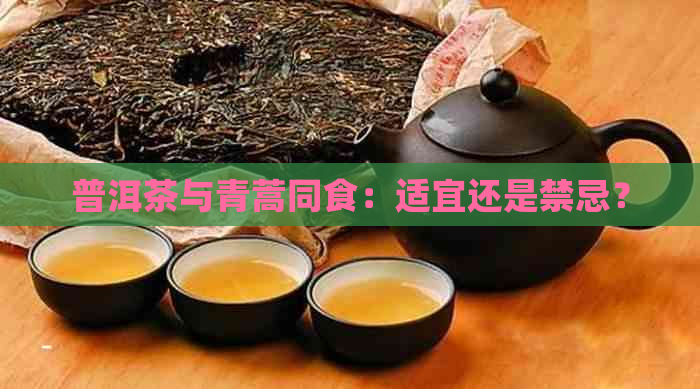 普洱茶与青蒿同食：适宜还是禁忌？