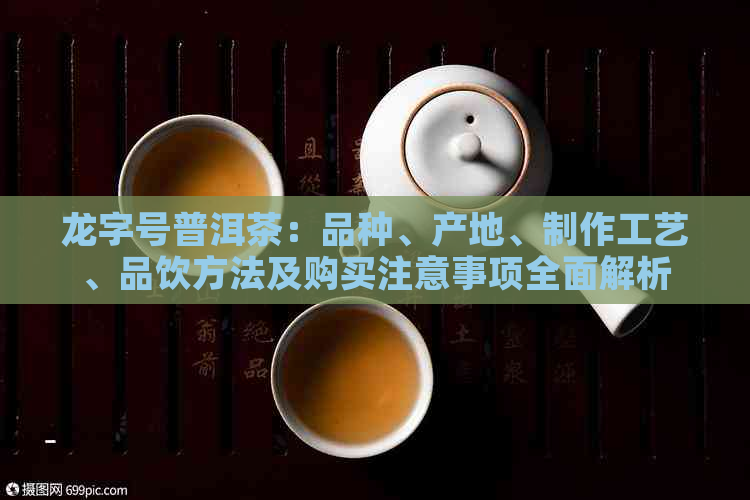 龙字号普洱茶：品种、产地、制作工艺、品饮方法及购买注意事项全面解析