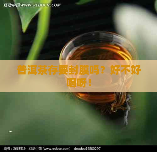 普洱茶存要封膜吗？好不好喝呀！