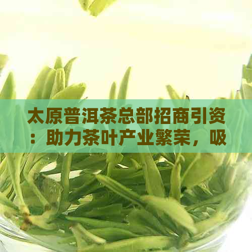 太原普洱茶总部招商引资：助力茶叶产业繁荣，吸引投资共创辉煌