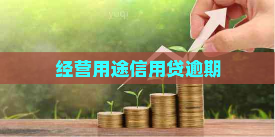 经营用途信用贷逾期