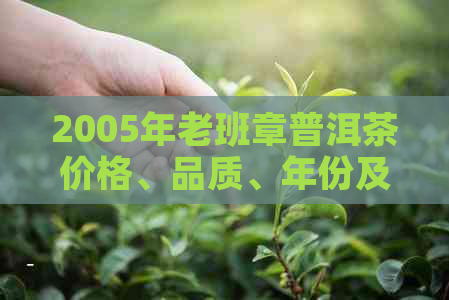 2005年老班章普洱茶价格、品质、年份及品鉴方法全面解析