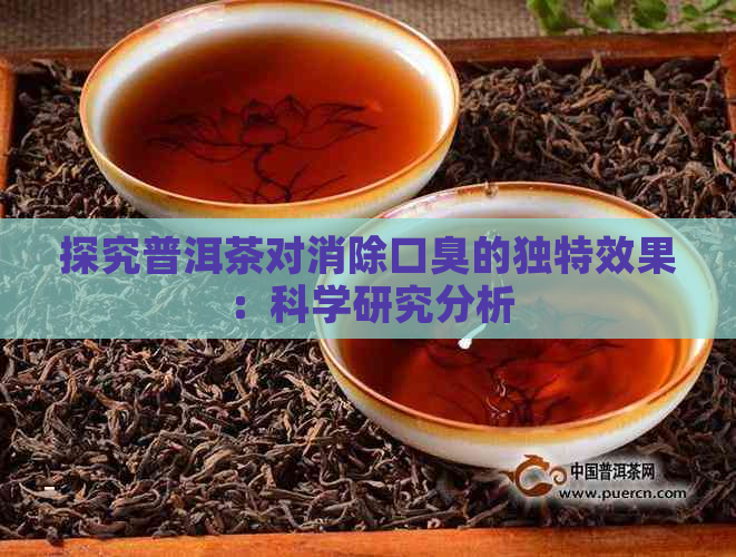 探究普洱茶对消除口臭的独特效果：科学研究分析