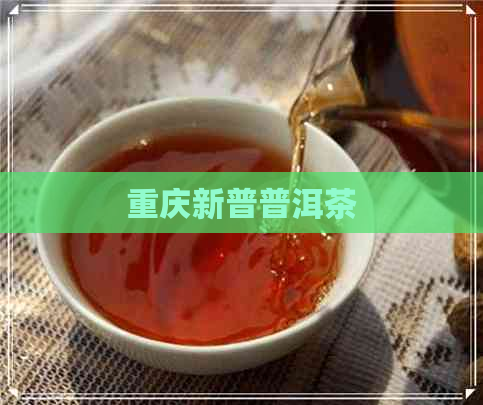 重庆新普普洱茶