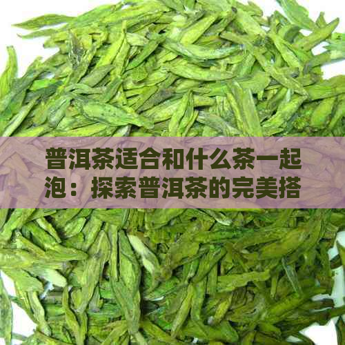 普洱茶适合和什么茶一起泡：探索普洱茶的完美搭配