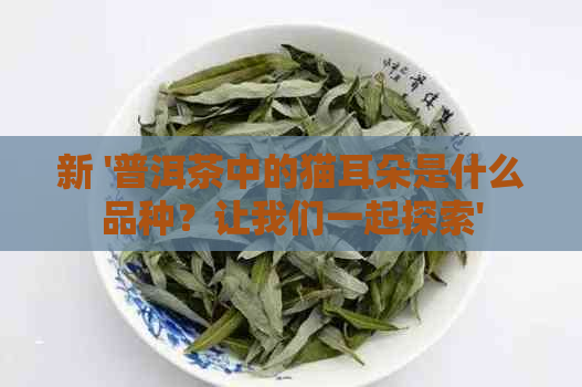 新 '普洱茶中的猫耳朵是什么品种？让我们一起探索'