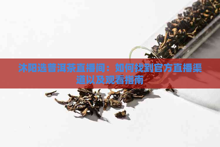 沐阳选普洱茶直播间：如何找到官方直播渠道以及观看指南