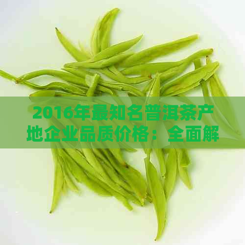 2016年最知名普洱茶产地企业品质价格：全面解析