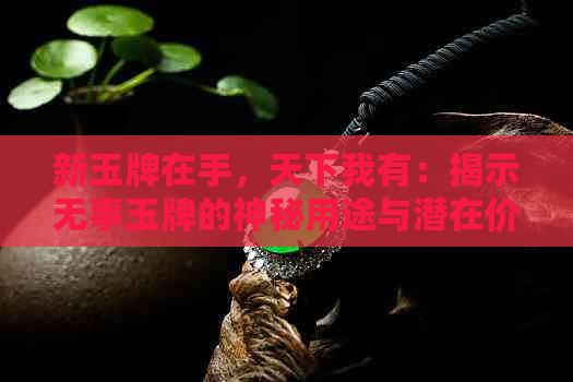 新玉牌在手，天下我有：揭示无事玉牌的神秘用途与潜在价值