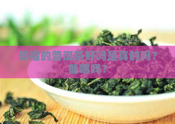 知福的普洱茶好吗是真的吗？能喝吗？