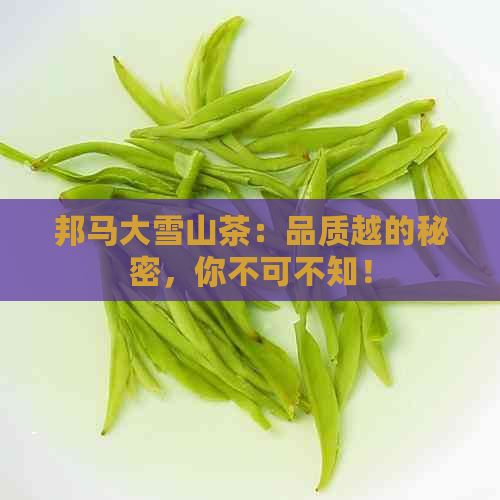 邦马大雪山茶：品质越的秘密，你不可不知！